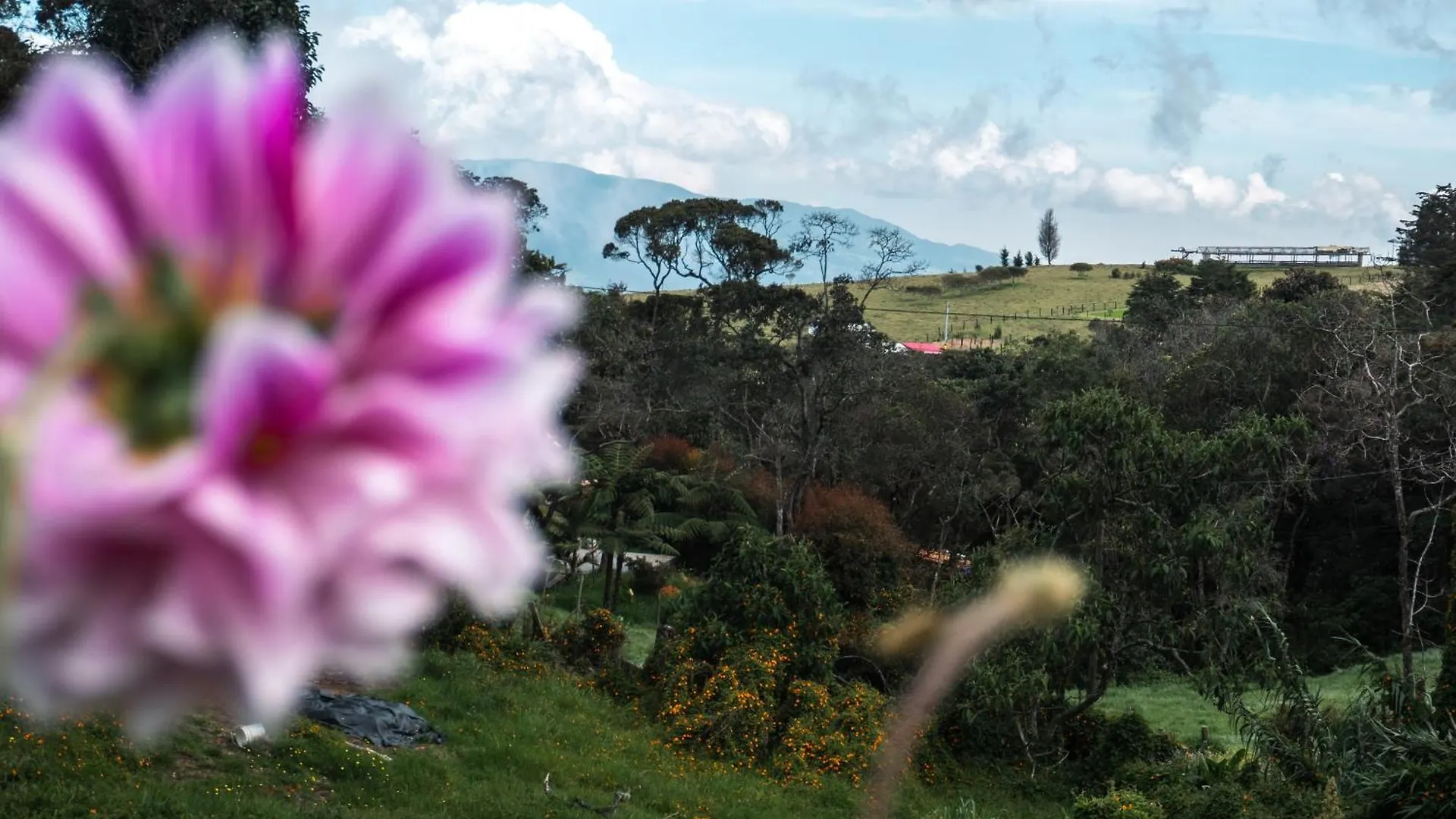 Country house Casa Profunda - Santa Elena Guest House Medellin