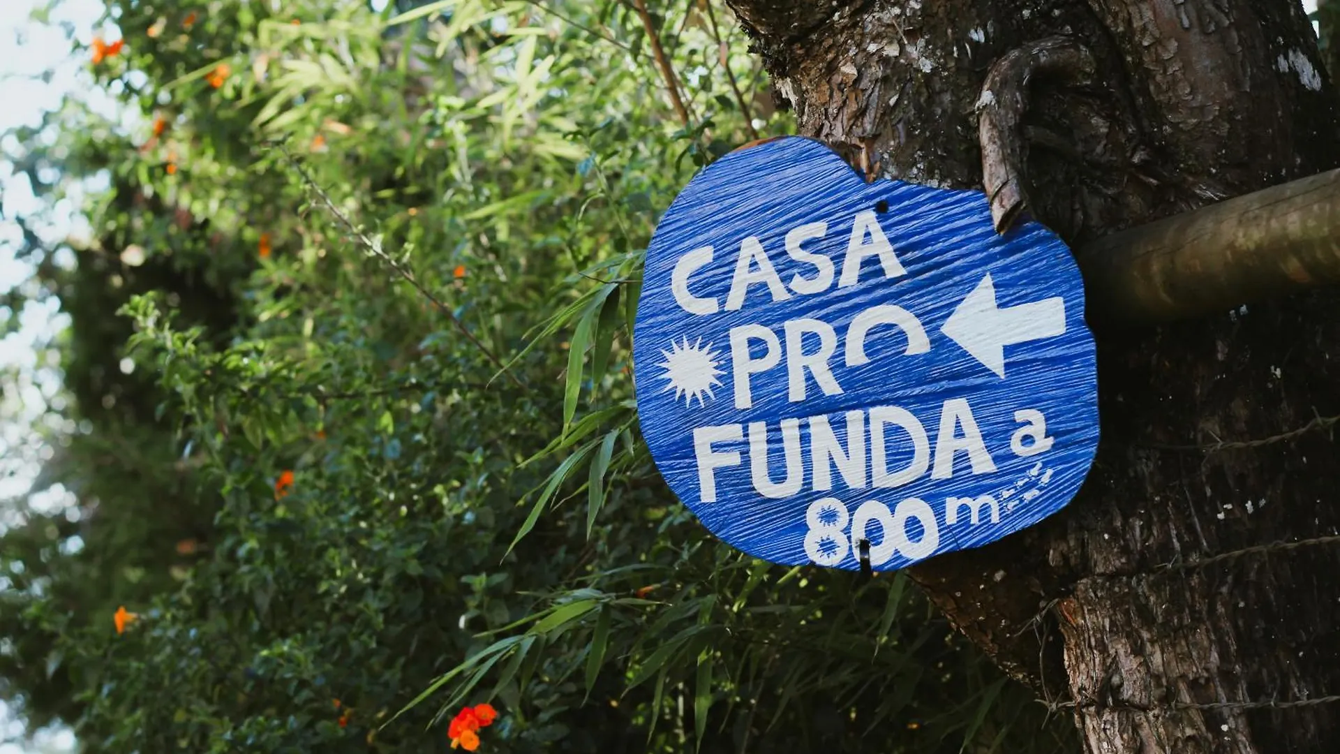 Hostal Casa Profunda - Santa Elena Medellín Casa rural