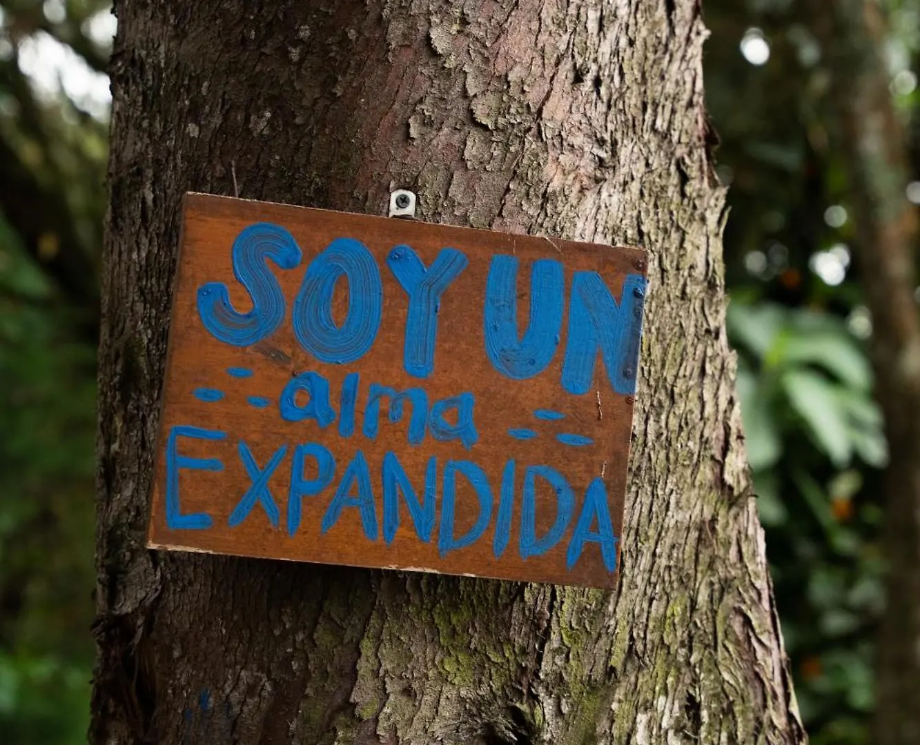Casa rural Hostal Casa Profunda - Santa Elena Medellín